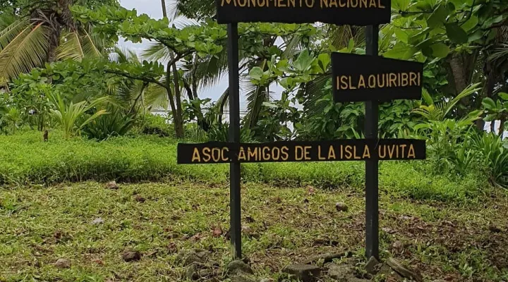 Isla Quiribí Canto de Aves, Cultura y más