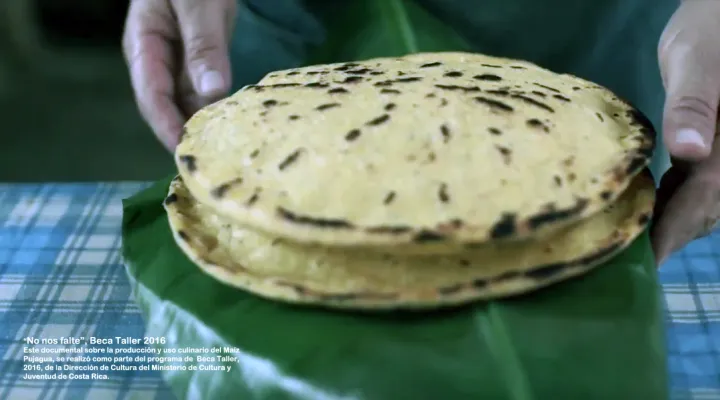 “Nuestros sabores y saberes en Guanacaste: Maíz pujagua su producción y usos”