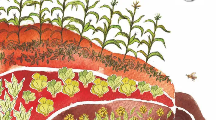 Revista costarricense de agroecología campesina