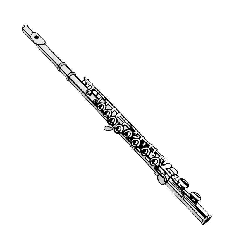 Recital de Flauta Traversa