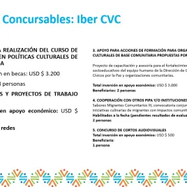 Slide 31