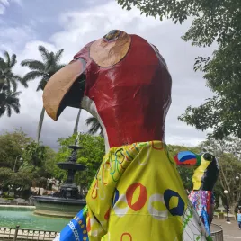 Mascarada con cara de ave caminando