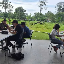 Jovenes pintando en mesas blancas y de fondo arboles