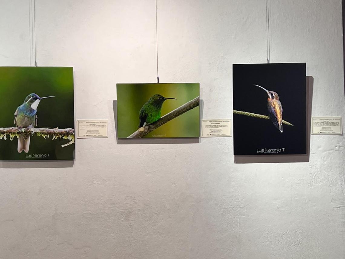 Cuadros en una exhibición