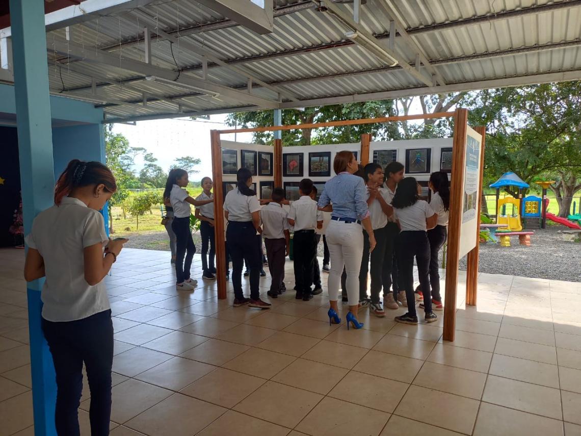 Grupo de estudiantes mirando una galeria